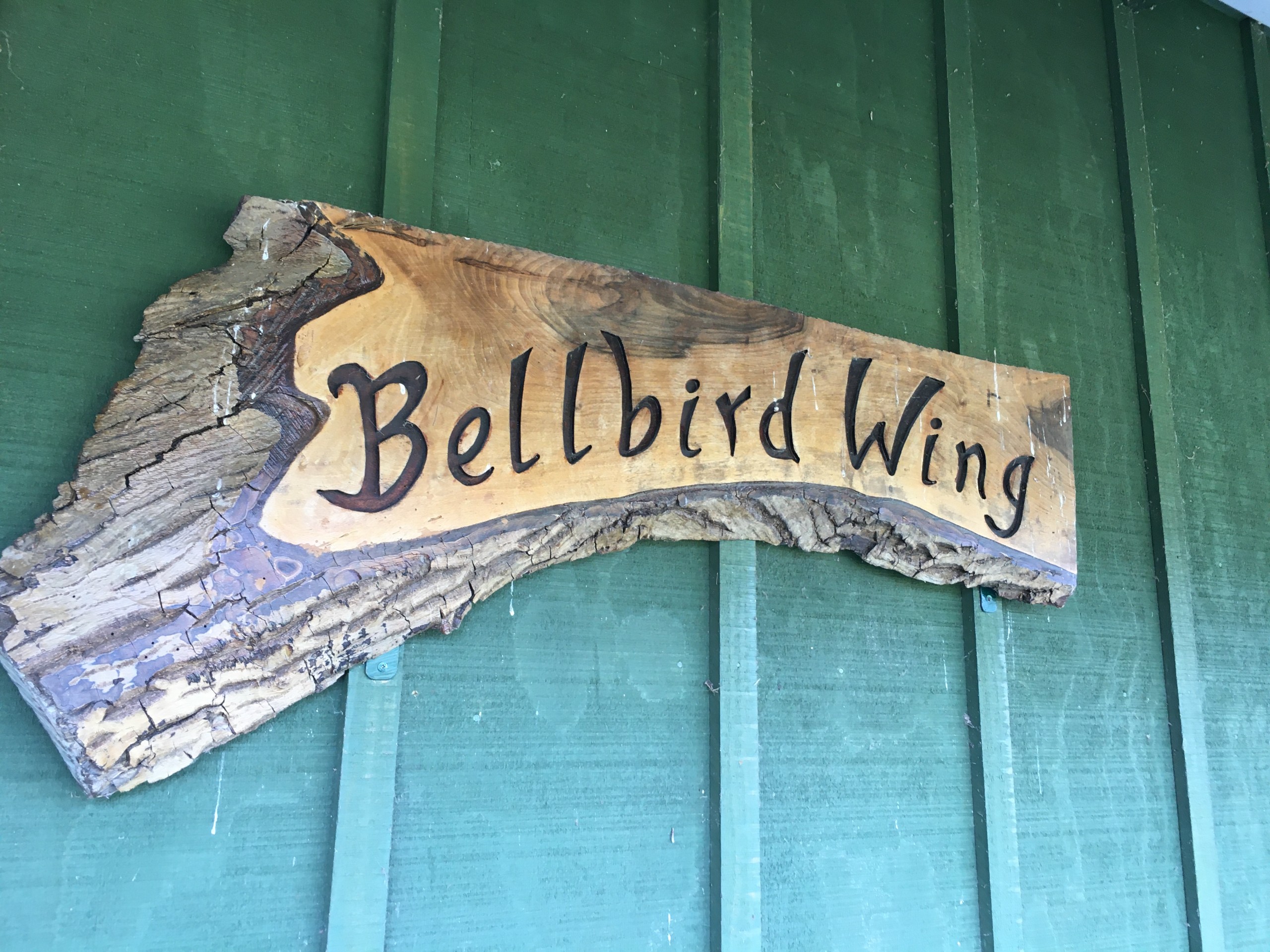 Bellbird Wing